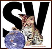 SV Cat Patrick