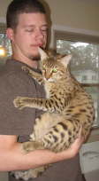 AJSavannahs F2B Tessa 113008 d