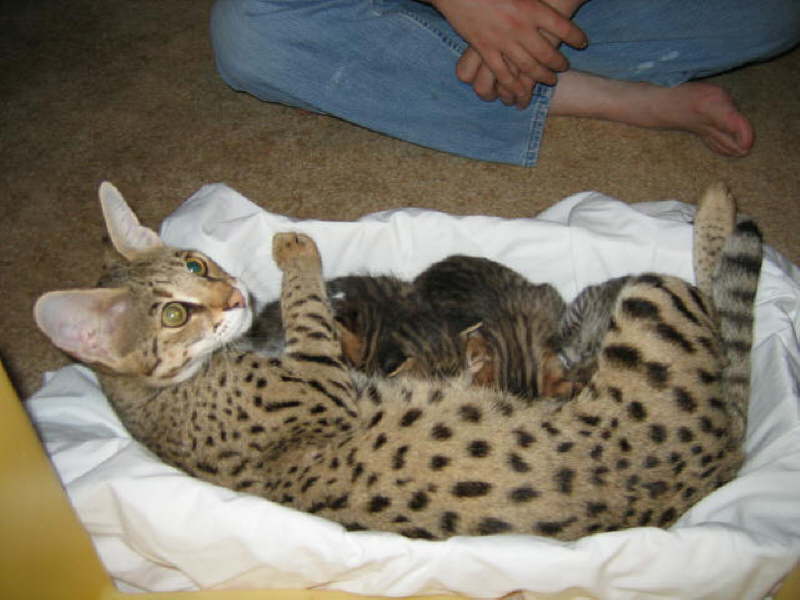August 14 2006 b