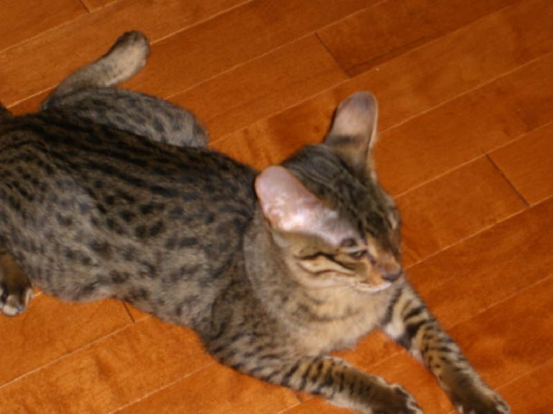 CIMG0733