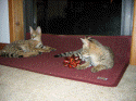 Gabatta, left and her sister Ayo