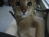 Mankala with her face in the camera
