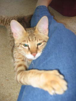 Spencer hugging leg 101207