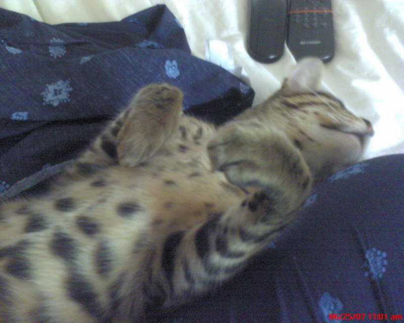 Wilbur June 2007